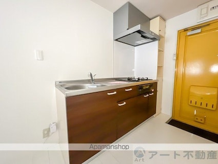 ピカデリーサーカス[1R/32.5m2]のキッチン