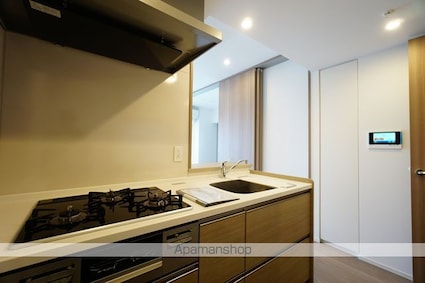 ザ・パークハビオ名古屋松原[1LDK/43.36m2]のキッチン