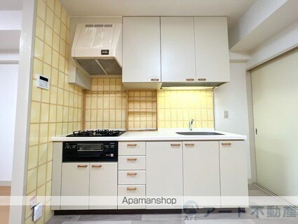 西石井ハイツ[2LDK/59.78m2]のキッチン