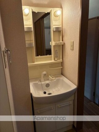 プラムＩＩ[1LDK/37.79m2]の洗面所