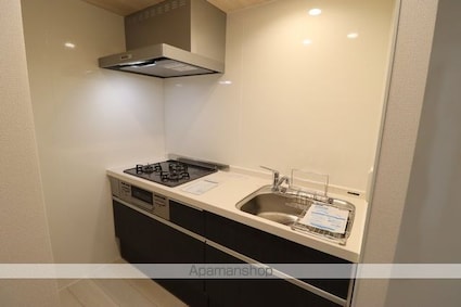 Ｄーカヴェリ本千葉[1LDK/40.74m2]のキッチン