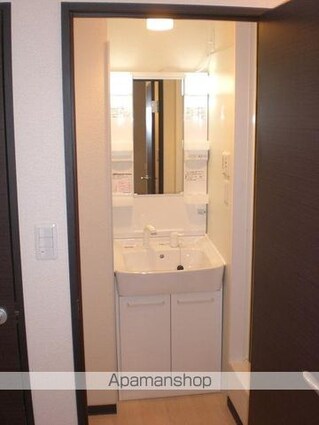 レオネクストメゾン庄内通[1K/26.41m2]の洗面所