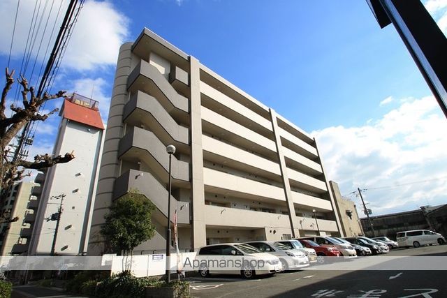 ルーセント菅原