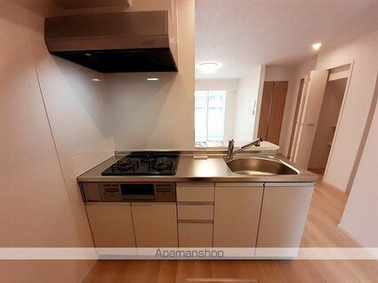 グランツリーベ　Ⅱ[1LDK/50.52m2]のキッチン