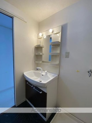 サンライトハイツ　Ａ・Ｂ棟[1LDK/58.5m2]の洗面所