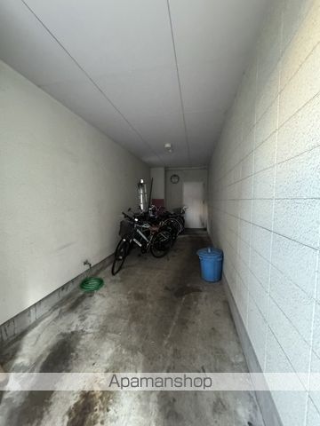ナビオナルトのその他写真