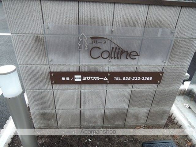 コリーヌのその他写真