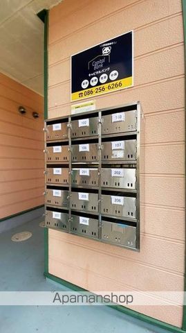 グリーンパキラのその他写真