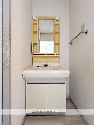 プレジール８８[2DK/46.09m2]の洗面所