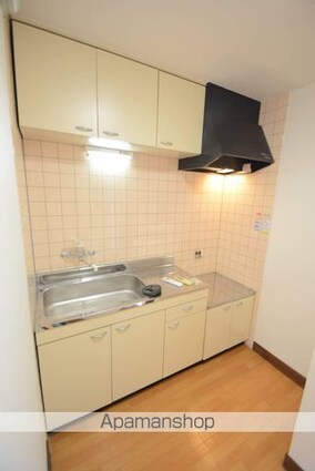 ヴィラ・シティ　ハナナカ[2K/39m2]のキッチン