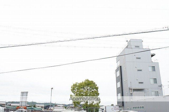 パステルグリーンのその他写真