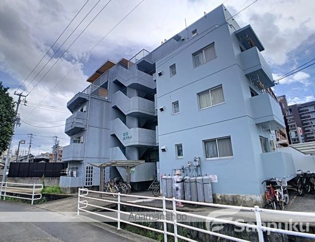 第13杉フラットの外観写真