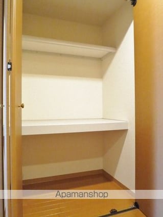 マリベール中須賀[2LDK/70m2]の収納