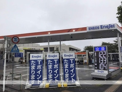 銀杏台マンション[3DK/52.29m2]の周辺3