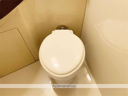 ワコーレ等々力ＩＩ[1R/19.35m2]のトイレ