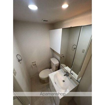 Ｇｒｅｅｎ　Ｃｏｕｒｔ[1K/20.01m2]の洗面所