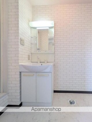 エクセル岸[3K/50.7m2]の洗面所