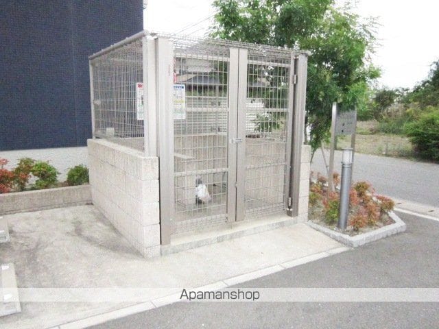 ディアス・フォッセIIのその他写真