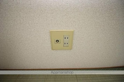 グリーンハウス[1DK/26.08m2]の内装3