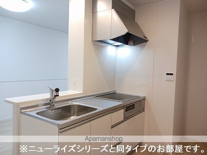 パークコートひたちなかＥⅡ[1LDK/50.05m2]のキッチン
