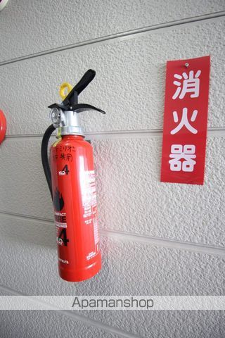 サンテミリオンのその他写真