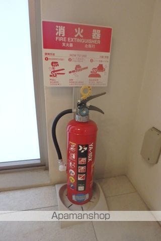 POURTOUJOURSUMEDAWESTのその他写真