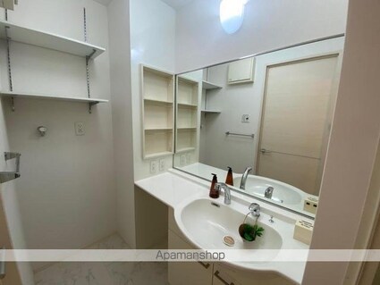 　ｎａｉｓｓａｎｃｅ・ｙａｍａ[1LDK/43.09m2]の洗面所