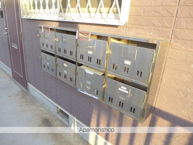 ドルチェのその他写真