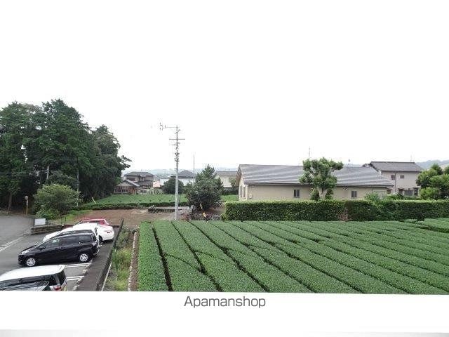 フォレストフェアリーのその他写真