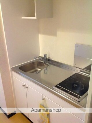 レオネクストグリーンライト[1K/26.08m2]のキッチン