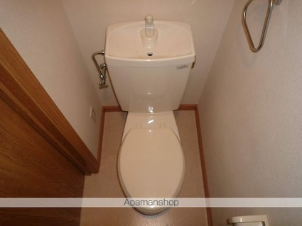 ジャルダンドゥトゥルーヌスゥル[2LDK/49.89m2]のトイレ