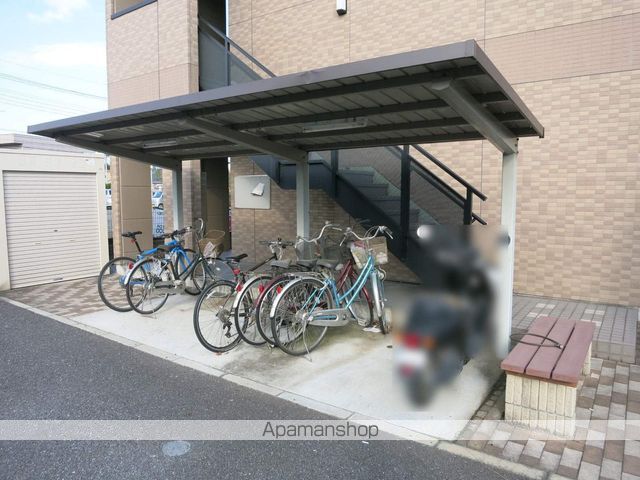 チェリーブロッサムのその他写真