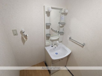 アレグリアス[2DK/52.25m2]の洗面所