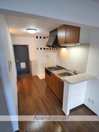 ラフール築山[1R/28.44m2]の内装3