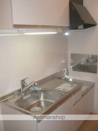 ティアモ[1K/30.79m2]のキッチン