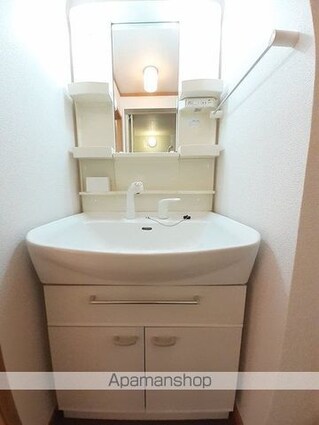 プチレジデンスディーヴァＨ[1LDK/46.28m2]の洗面所