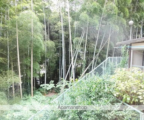 日ノ岡グリーンハイツの内装写真