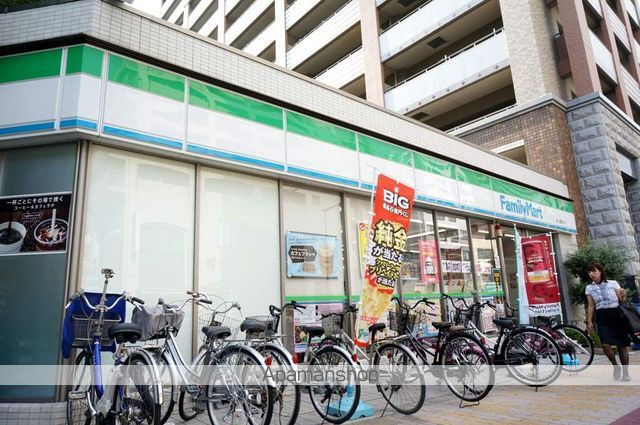 フジパレス城東永田II番館の周辺写真