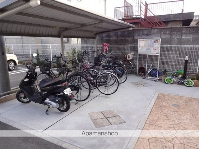 アンジールのその他写真