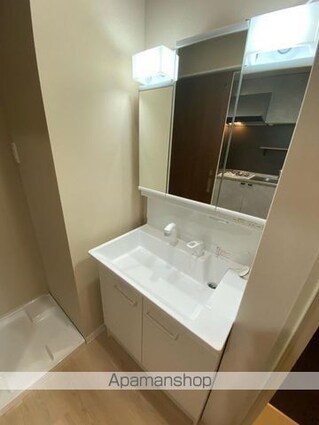 ＨａｉｍｉｓｈⅡ（ハイミッシュツー）[1K/29.81m2]の洗面所