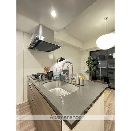 スタイリオ池上ＳＯＵＴＨ[1LDK/33.42m2]のキッチン