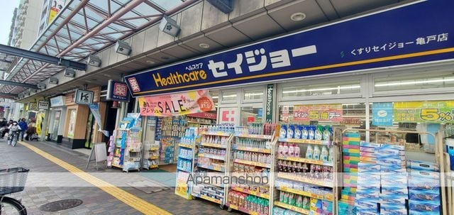 グラン・パセオ亀戸の周辺写真