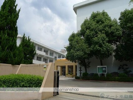 愛媛県松山市緑町１丁目[1K/19.8m2]の周辺4