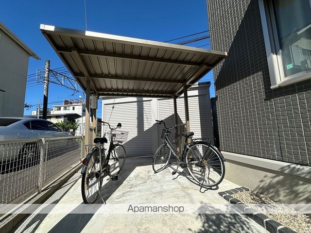 コスモ錦のその他写真