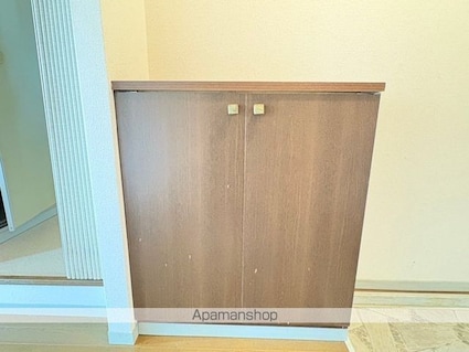 サントネージュ・ＳＴ[1DK/26.93m2]の内装3