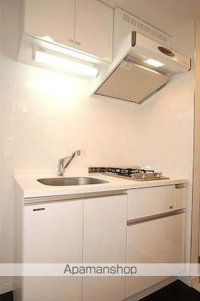 ステージファースト新宿原町[1K/25.66m2]のキッチン