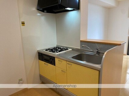 ウィル花堂[1R/30.03m2]のキッチン