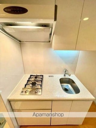 レジディア新宿イーストⅢ[1K/20.43m2]のキッチン