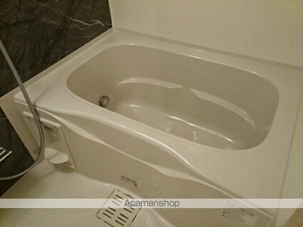 ピエール　ブランシュⅡ[1LDK/41.97m2]のバス