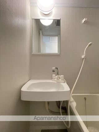 ライオンズマンション白山駅前[1R/28.25m2]の洗面所